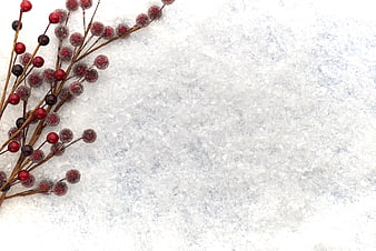 Frosted Red Berries on Snowy Winter Background