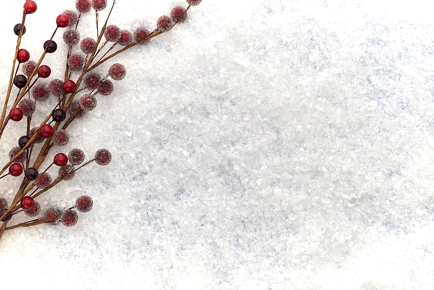 Frosted Red Berries on Snowy Winter Background