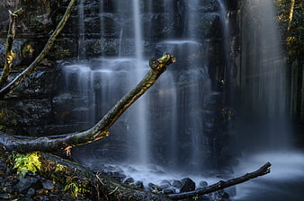 Misty forest waterfall with long exposure and fallen branch