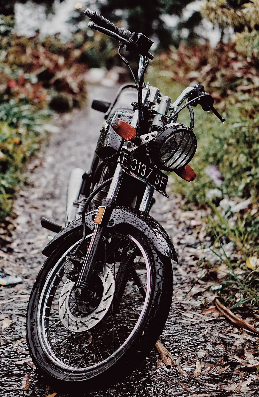 Vintage Black Motorcycle on Wet Forest Path