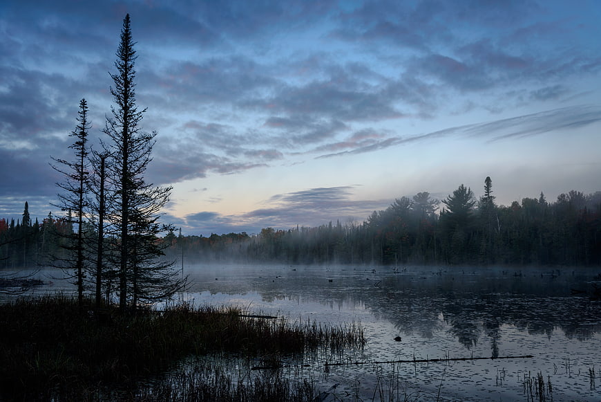 Misty Lake Landscape at Dawn with Silhouetted Trees