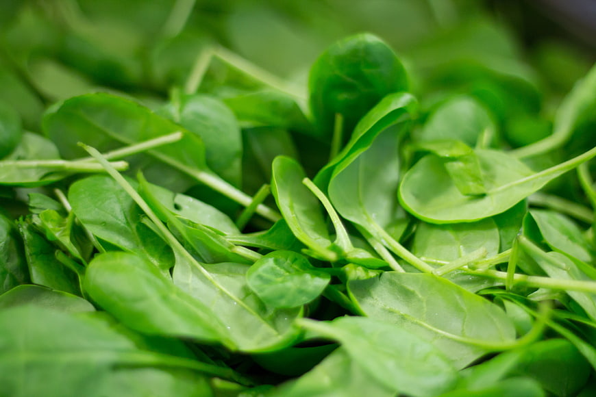 Close-up of fresh green spinach leaves
