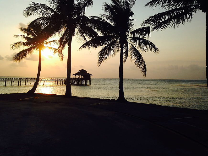 Silhouette of Palm Trees and Pier at Sunset