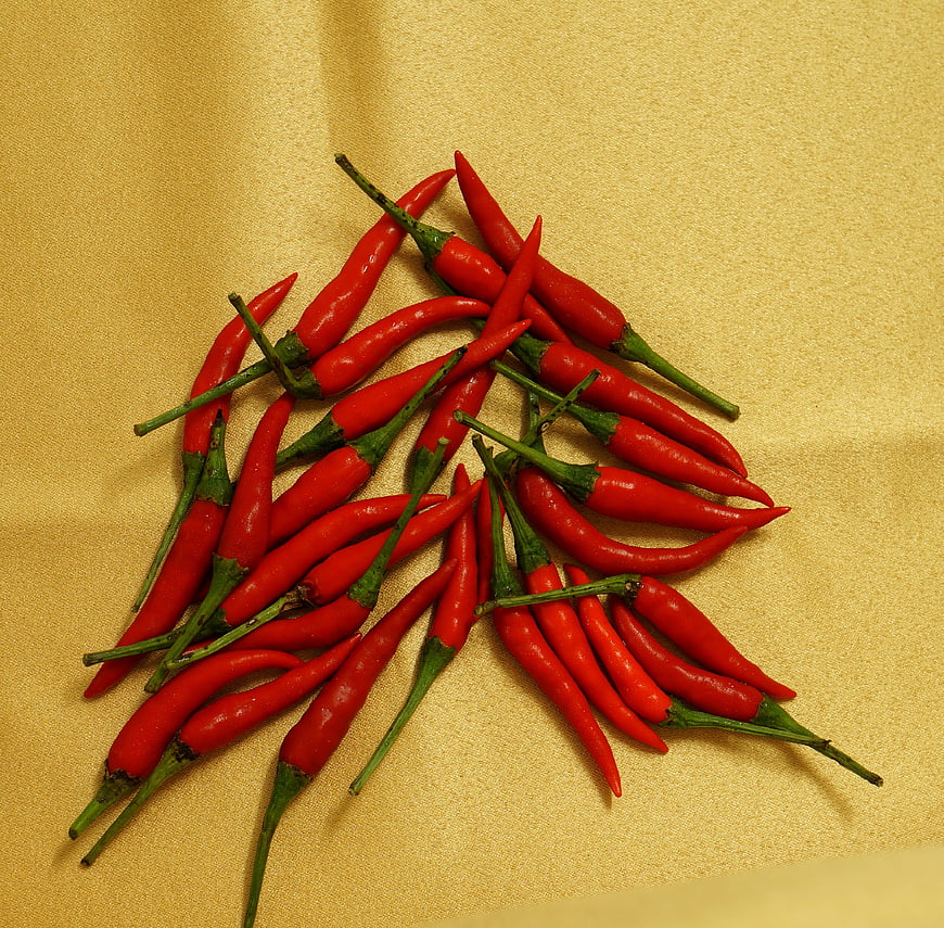 Fresh Red Chili Peppers on Yellow Fabric Background