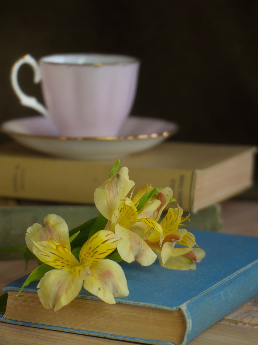 Yellow Alstroemeria Flowers on Blue Vintage Book with Teacup