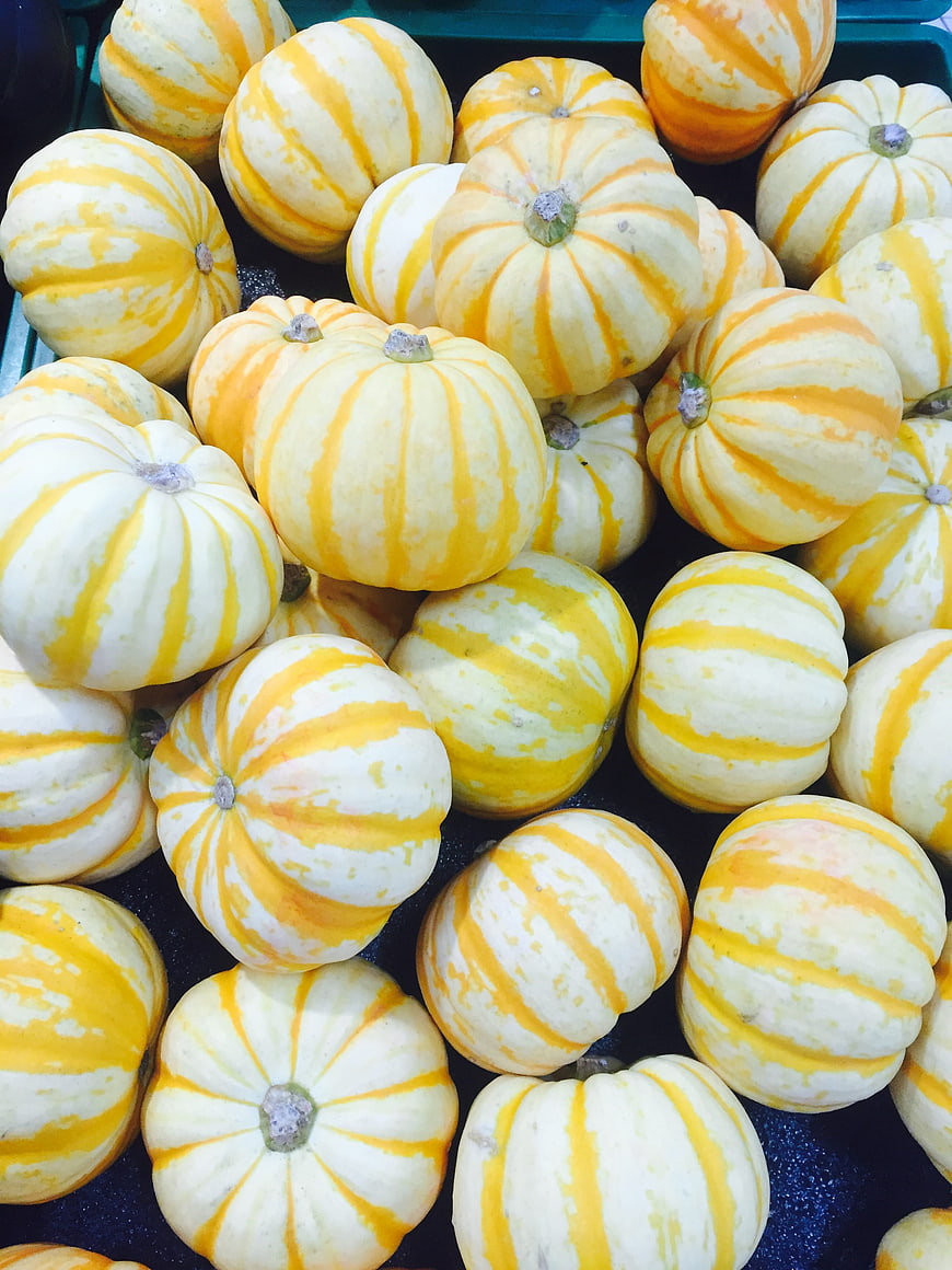 Pile of small yellow and white striped pumpkins