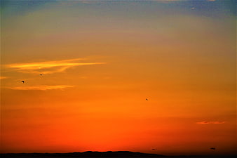 Vibrant orange sunset sky with birds silhouetted against horizon