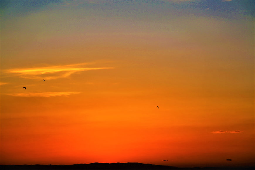 Vibrant orange sunset sky with birds silhouetted against horizon