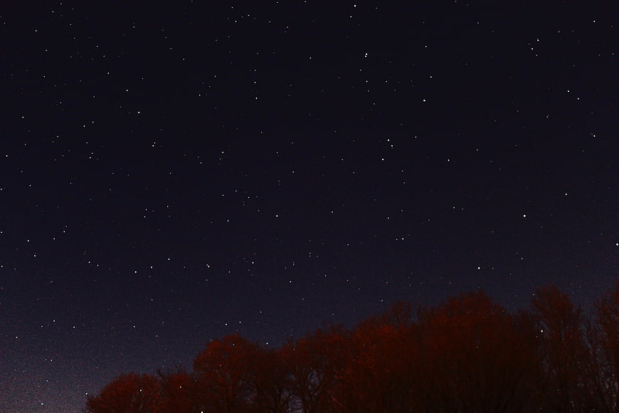 Starry Night Sky Over Silhouetted Trees