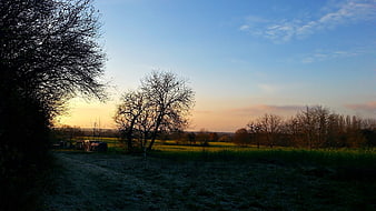Serene Countryside Landscape at Sunset with Silhouetted Trees