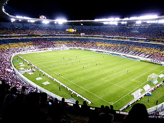 Wide Night View of Soccer Stadium with Crowd and Green Pitch
