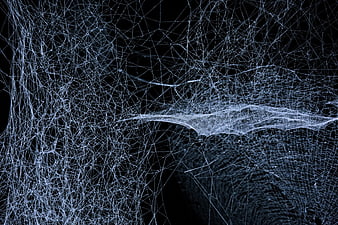 Intricate Spider Web on Black Background