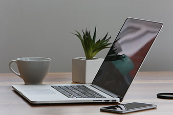 Modern workspace with laptop, coffee cup, and succulent plant