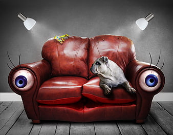 Surreal Red Leather Sofa With Eyes And Sleeping Pug