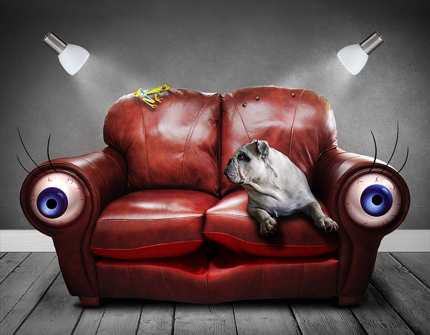 Surreal Red Leather Sofa With Eyes And Sleeping Pug