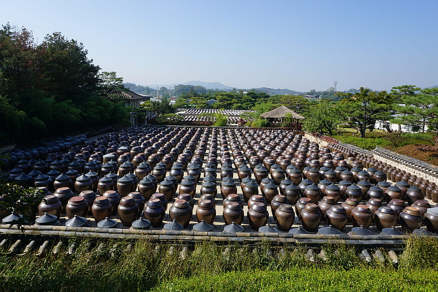 Rows of traditional Korean earthenware jars in a courtyard