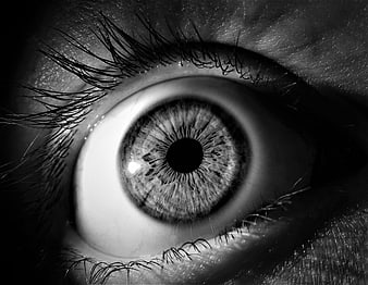 Black and white macro close-up of a human eye iris and pupil