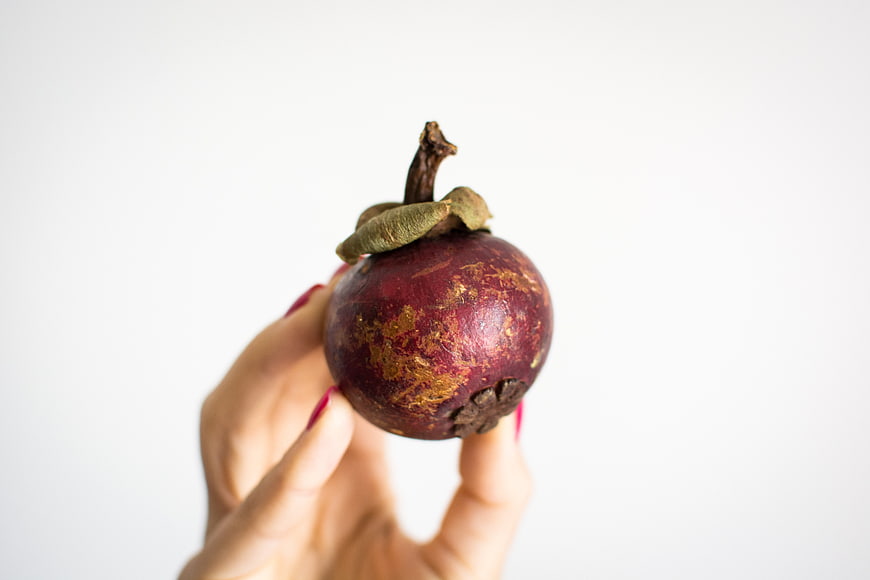 Hand holding fresh mangosteen fruit on white background