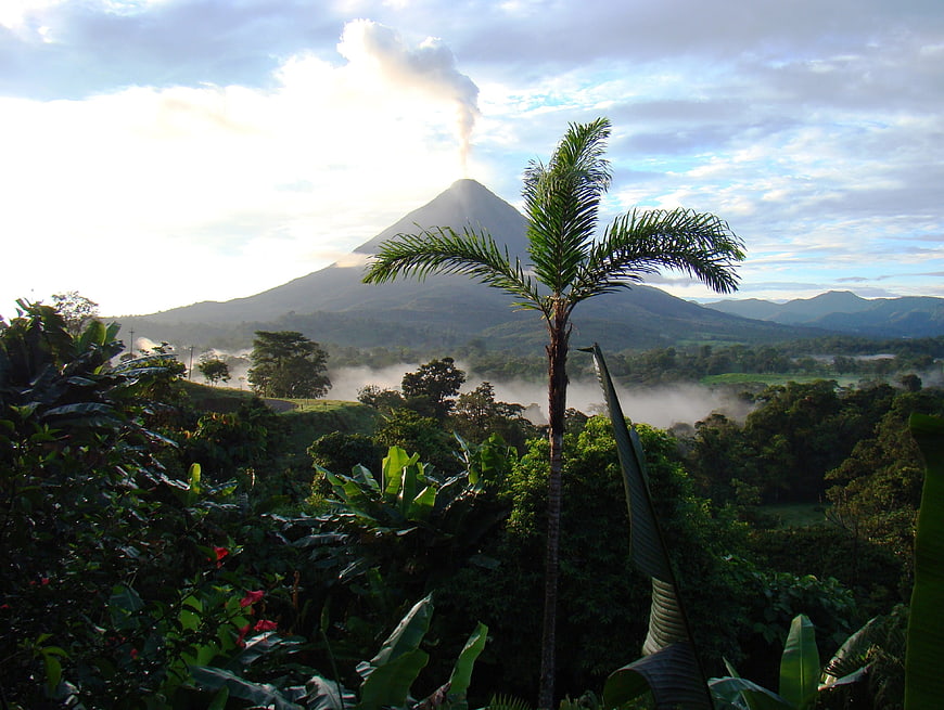 Arenal Volcano Eruption in Costa Rica with Palm Tree Foreground