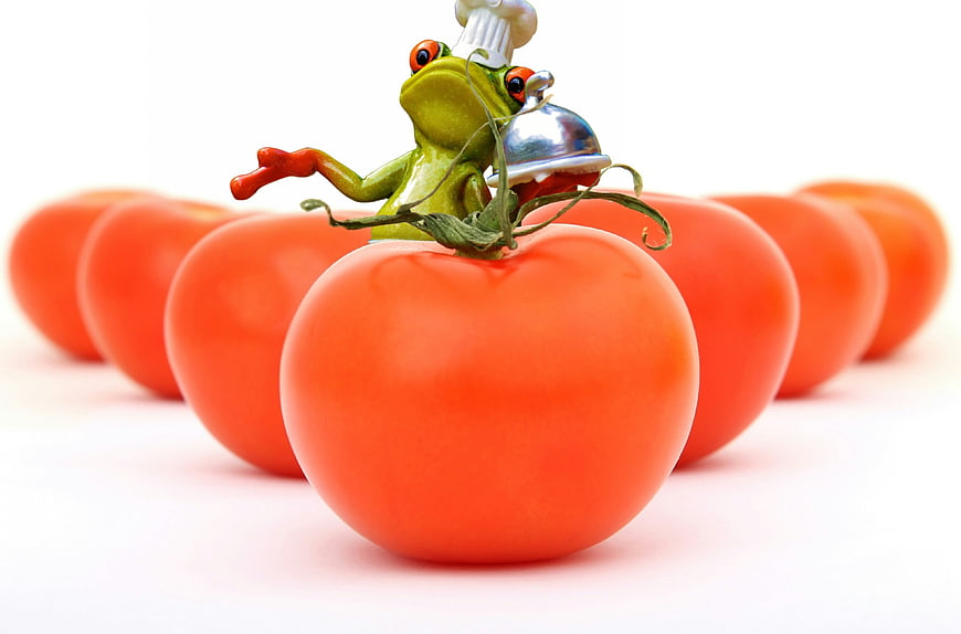 Toy Frog Chef on Tomato with Silver Dome