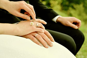 Close-up of wedding couple hands with rings and daisy