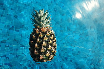 Fresh Pineapple Floating in Blue Swimming Pool Water