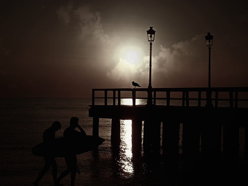 Silhouette of surfers walking with board near pier at sunset