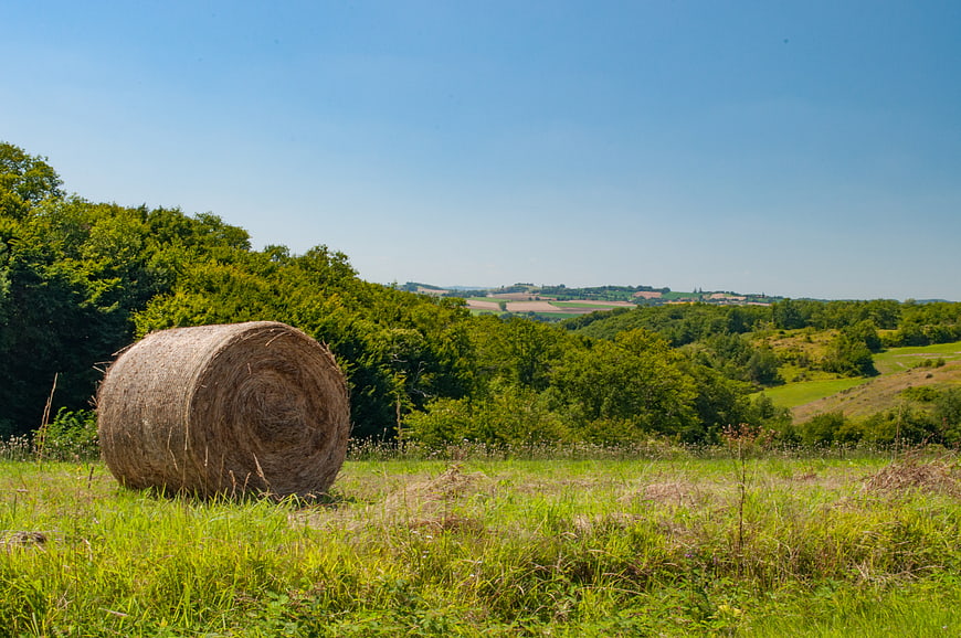 Round Hay Bale in Green Summer Field Landscape