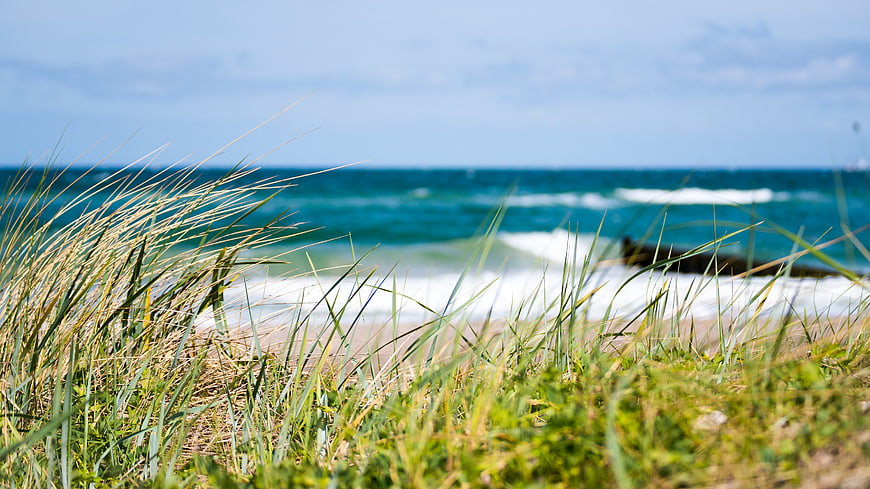 Beach grass foreground with blurred Baltic Sea waves