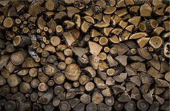 Stacked firewood logs texture background