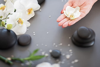 Woman's Hand Holding White Orchid with Spa Stones
