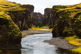 Mossy Gorge and River Landscape in Iceland
