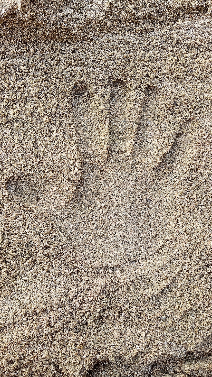 Handprint in Sand Texture Close-Up