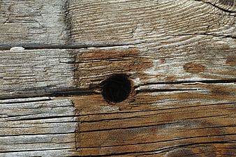 Close-up of weathered wood texture with knot hole