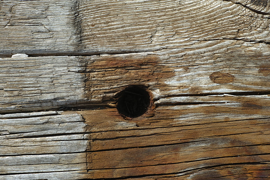 Close-up of weathered wood texture with knot hole