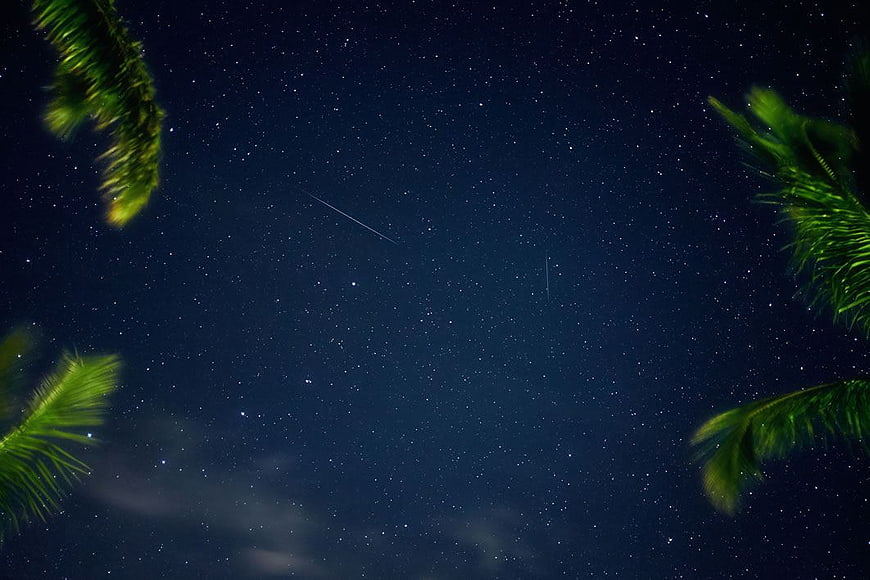 Night Sky with Shooting Stars and Palm Tree Silhouettes