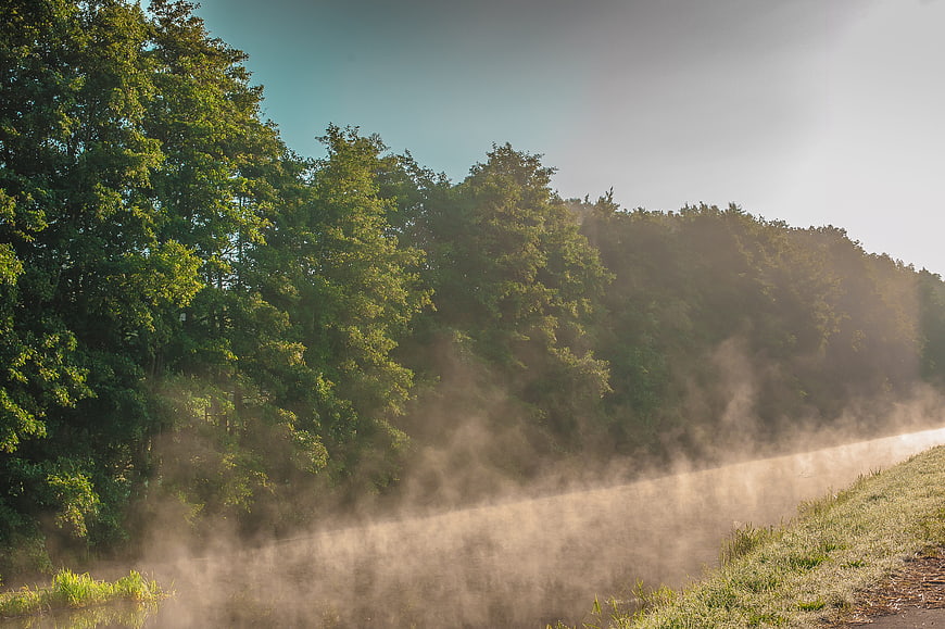 Misty morning river landscape with lush green forest