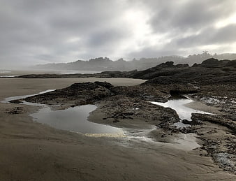Misty Oregon Coast Beach with Rocky Tide Pools