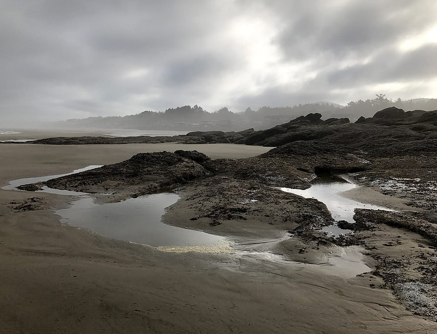 Misty Oregon Coast Beach with Rocky Tide Pools