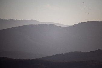 Hazy Mountain Landscape with Birds in Flight