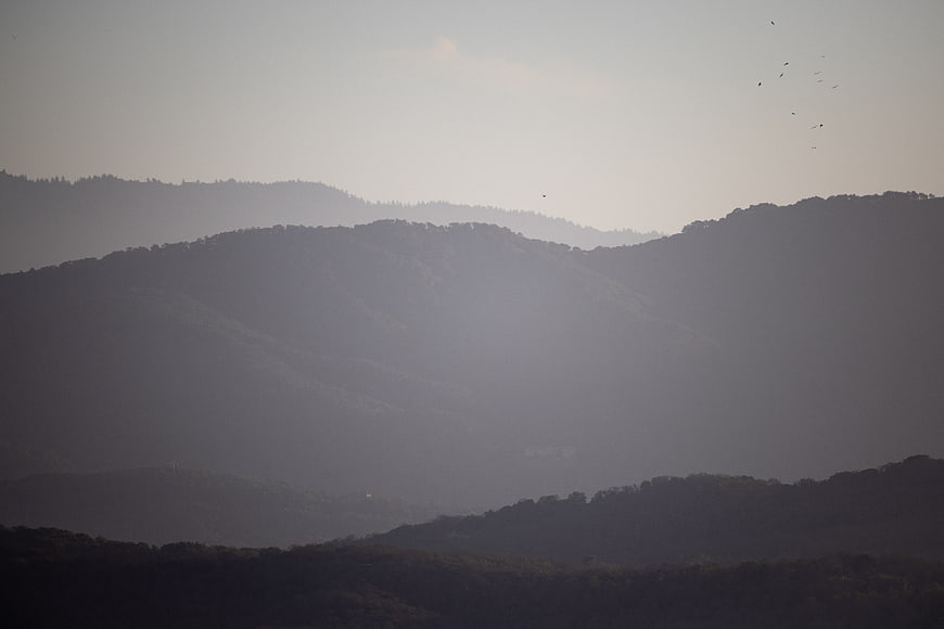Hazy Mountain Landscape with Birds in Flight