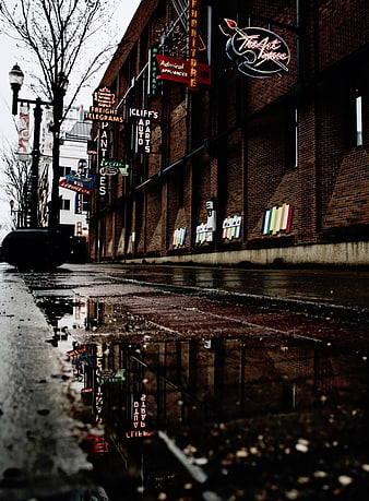 Low angle street view with neon signs reflected in puddle