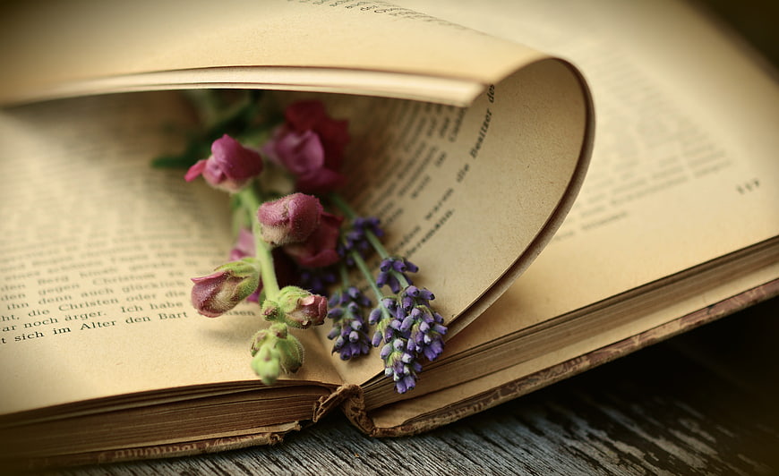 Vintage Open Book with Lavender and Dried Flowers