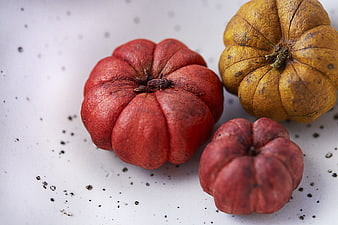 Decorative Miniature Pumpkins on White Background