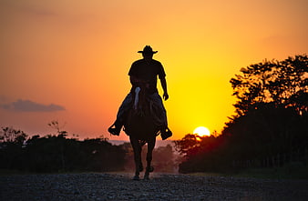 Silhouette of a cowboy riding a horse on a gravel road at sunset