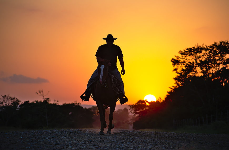 Silhouette of a cowboy riding a horse on a gravel road at sunset