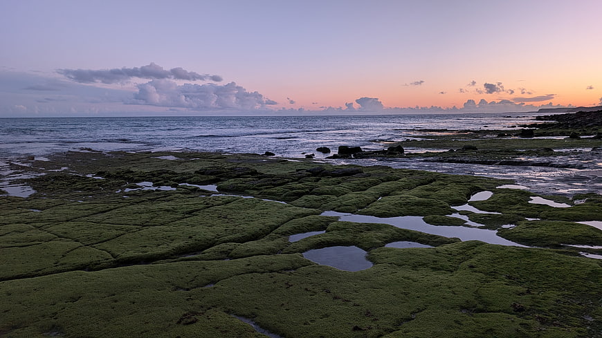 Mossy Rocky Shoreline at Sunset with Ocean Horizon