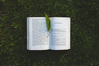 Open book on grass with chapter six text