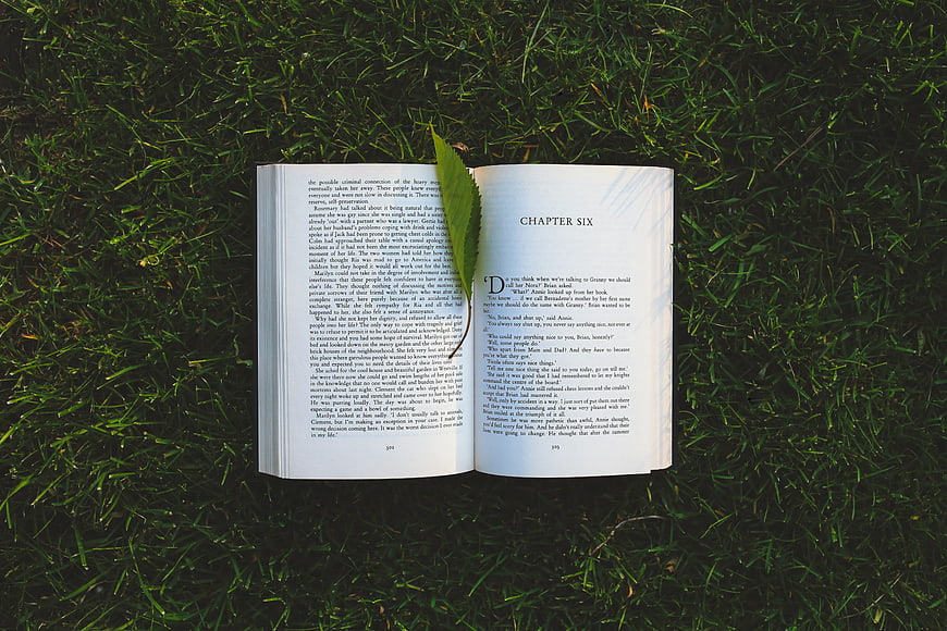 Open book on grass with chapter six text