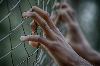Close-up of hands gripping a wire mesh fence